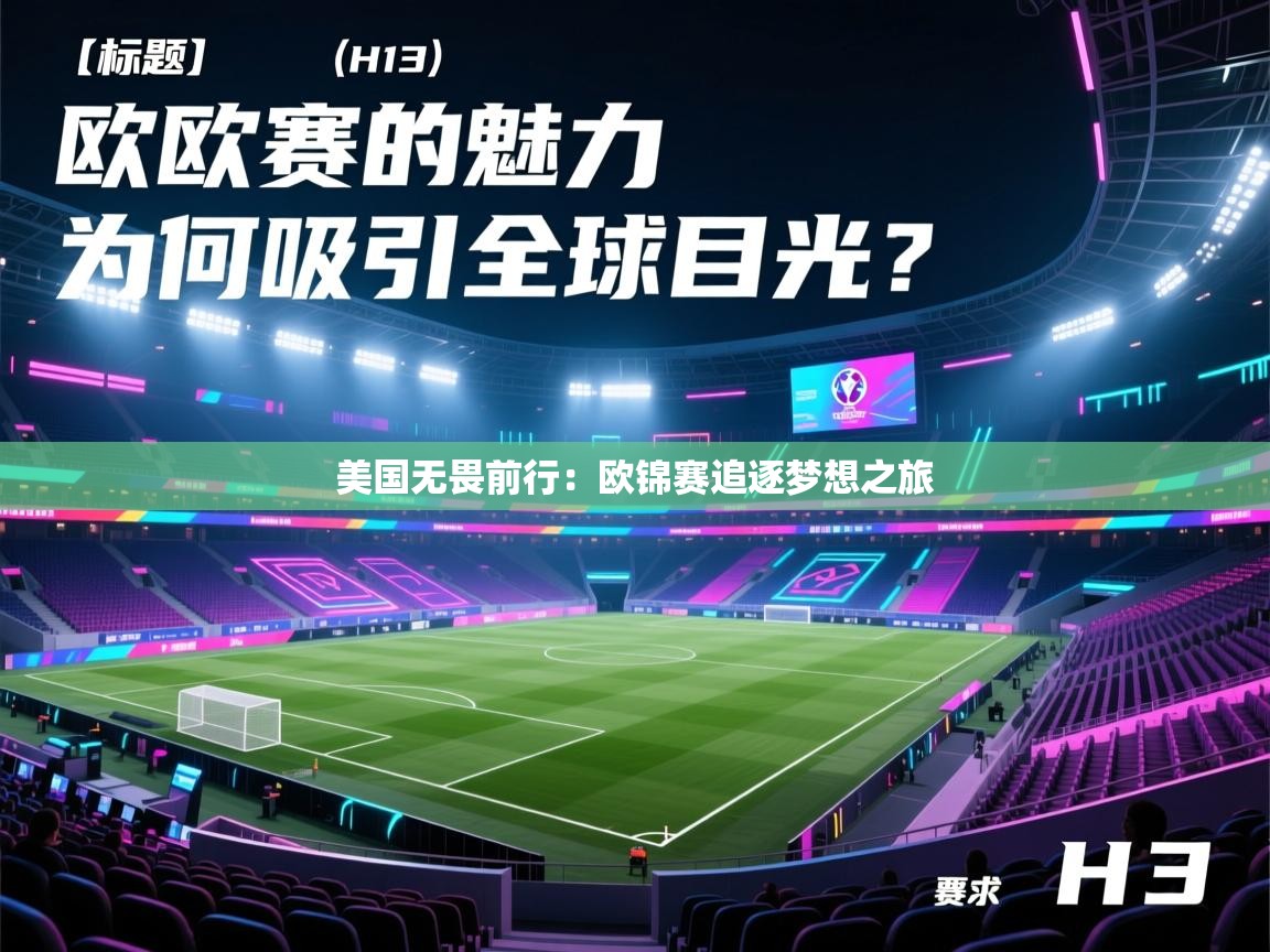 美国无畏前行:欧锦赛追逐梦想之旅 第2张