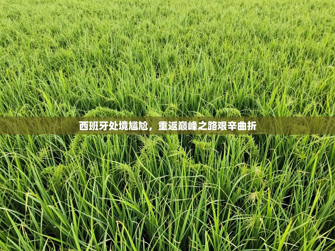 西班牙处境尴尬，重返巅峰之路艰辛曲折