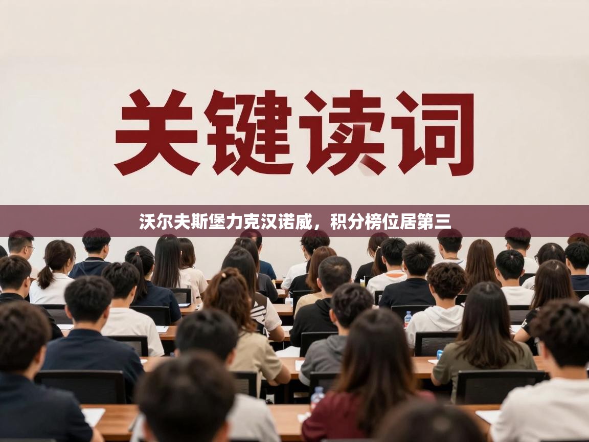 沃尔夫斯堡力克汉诺威，积分榜位居第三  第2张