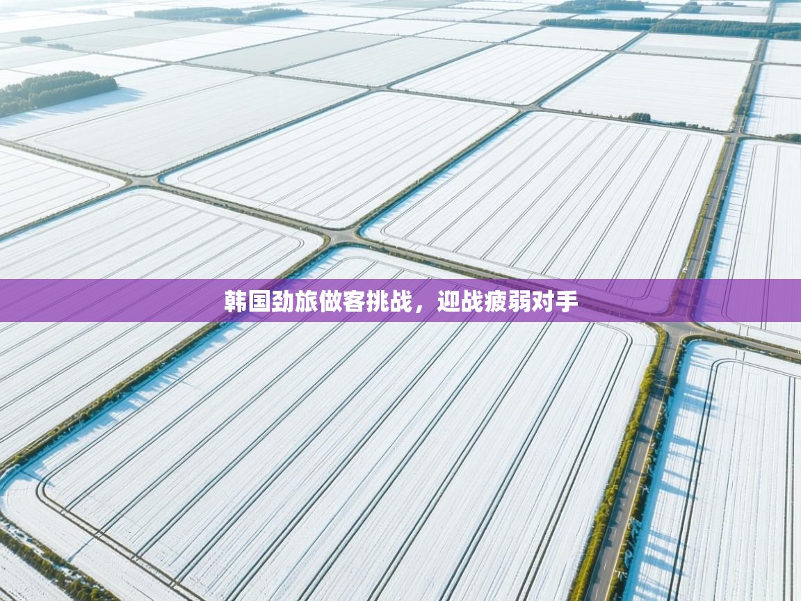 韩国劲旅做客挑战,迎战疲弱对手 第2张