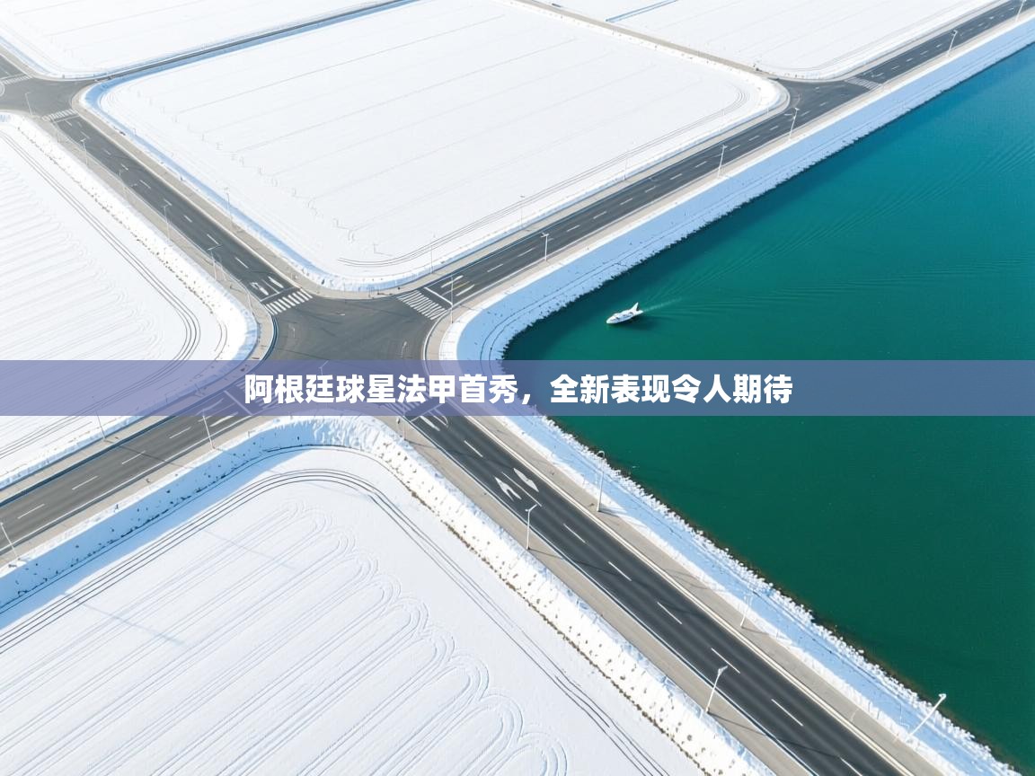 阿根廷球星法甲首秀，全新表现令人期待  第1张