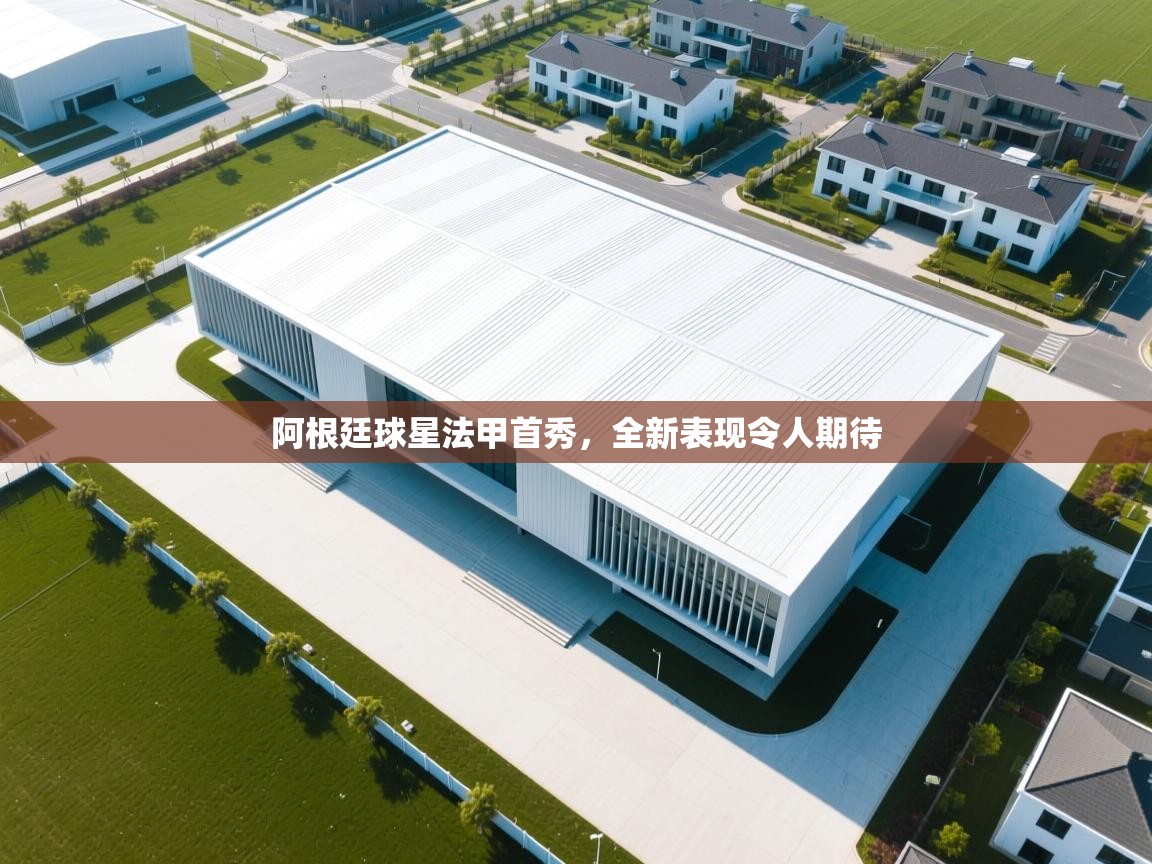 阿根廷球星法甲首秀，全新表现令人期待  第2张